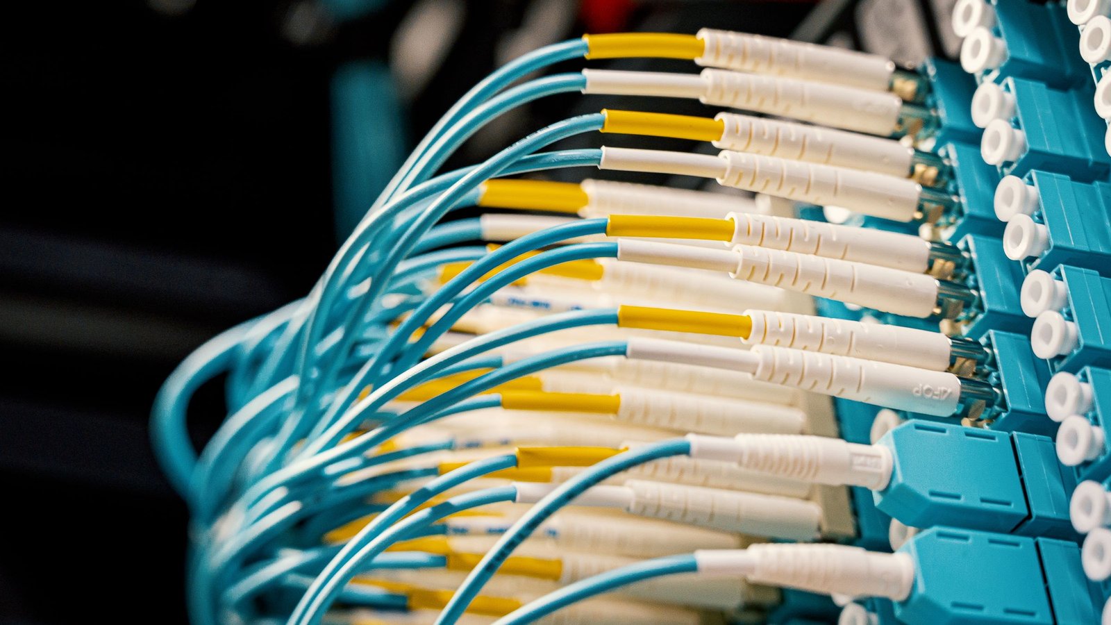 Close-up of light-blue fiber optic cables with white connectors plugged into a blue network patch panel in a data center, no text or logos visible.