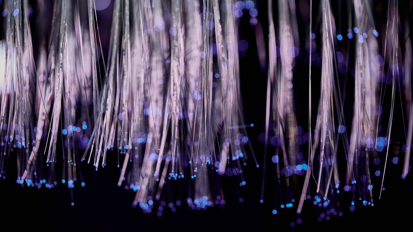 Bundles of glowing fibre optic strands in purple and blue against a dark background