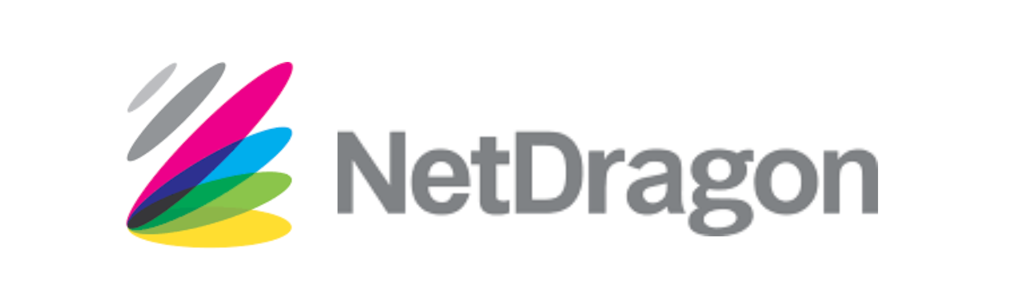 NetDragon